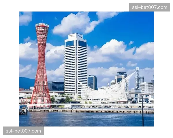 分析:经济下行压力下,英国本土订阅用户增长见顶,英超的应对策略 分析:经济下行压力下,英国本土订阅用户增长见顶,英超的应对策略