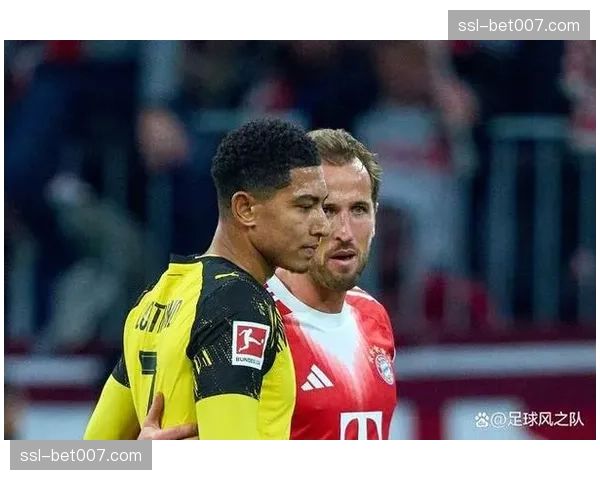 终场哨响,哈兰德与哈里·凯恩交换球衣时的简短交谈 终场哨响,哈兰德与哈里·凯恩交换球衣时的简短交谈